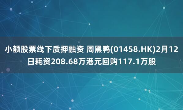 小额股票线下质押融资 周黑鸭(01458.HK)2月12日耗资208.68万港元回购117.1万股