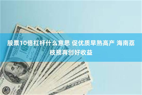 股票10倍杠杆什么意思 促优质早熟高产 海南荔枝预再创好收益