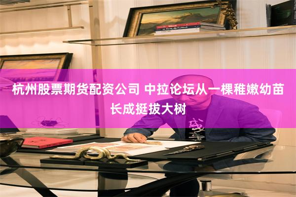 杭州股票期货配资公司 中拉论坛从一棵稚嫩幼苗长成挺拔大树