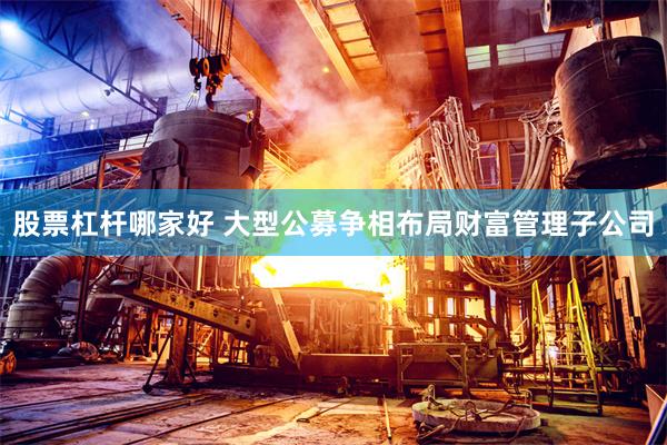 股票杠杆哪家好 大型公募争相布局财富管理子公司