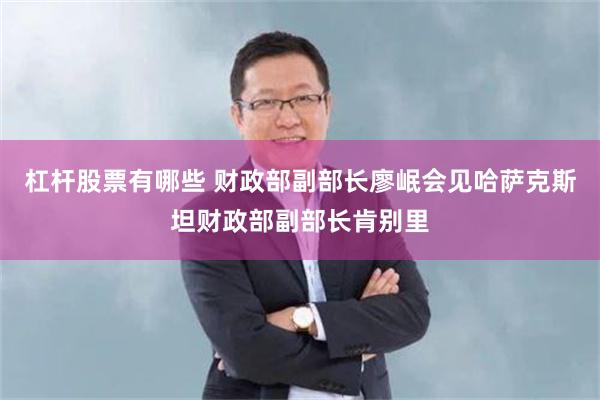 杠杆股票有哪些 财政部副部长廖岷会见哈萨克斯坦财政部副部长肯别里