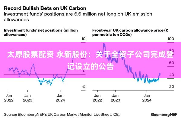 太原股票配资 永新股份：关于全资子公司完成登记设立的公告