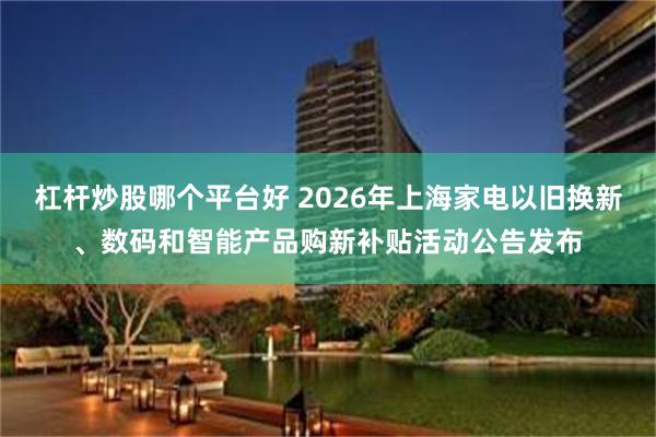 杠杆炒股哪个平台好 2026年上海家电以旧换新、数码和智能产品购新补贴活动公告发布